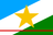 Bandeira de Roraima
